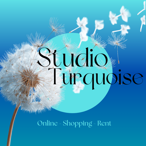 Studio Turquoise – Comfort, Smart & Organized at Home